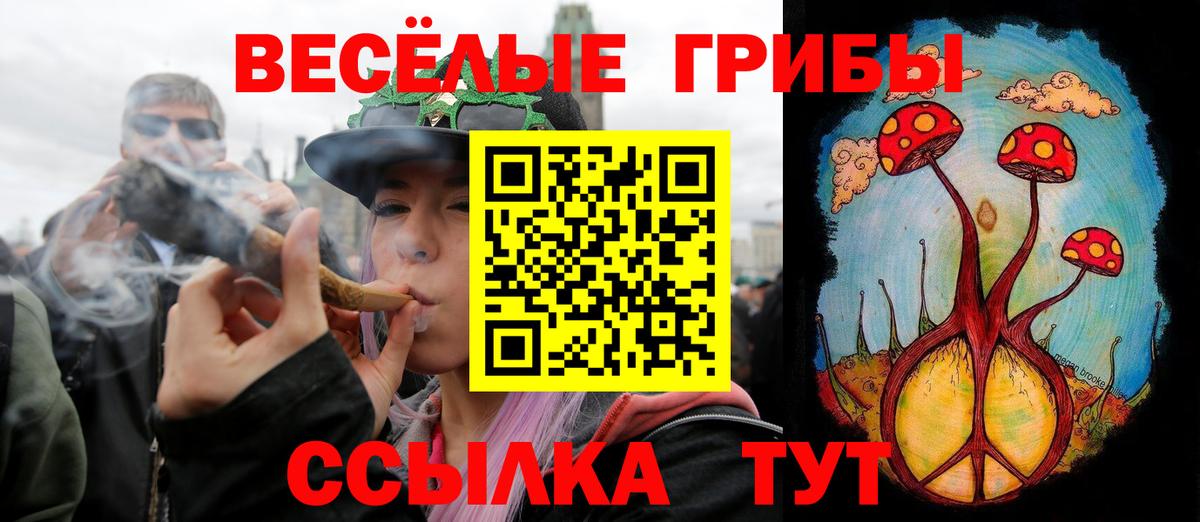Галлюциногенные грибы Psilocybe Иркутск