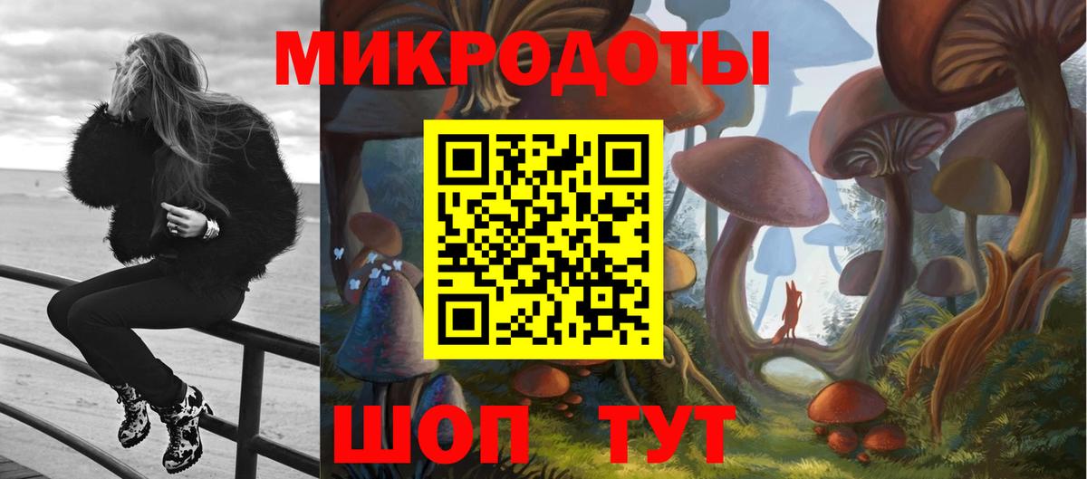 где продают наркотики  Галлюциногенные грибы Psilocybe  Вход с VPN  Иркутск 